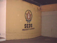 29-07 086